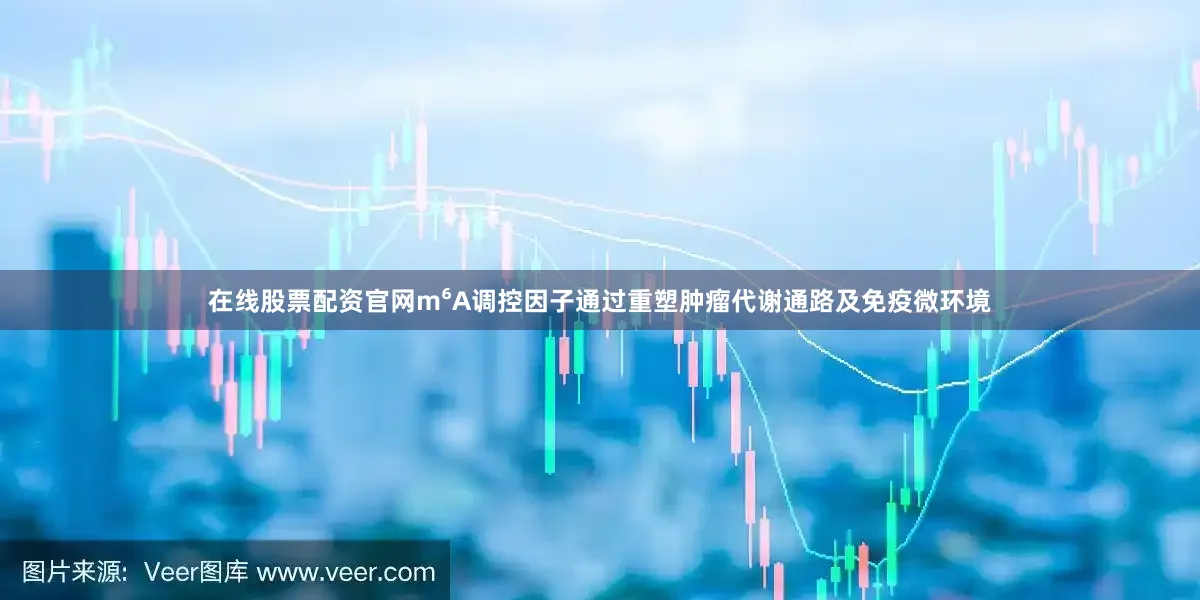 在线股票配资官网m⁶A调控因子通过重塑肿瘤代谢通路及免疫微环境